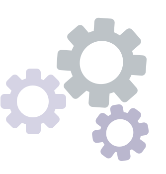 System development